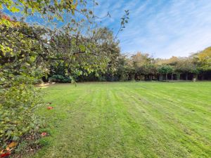 Photo 22- click for photo gallery